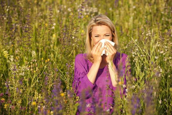 New knowledge on the treatment of hay fever
