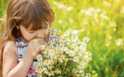 Faire passer la saison pollinique à votre enfant