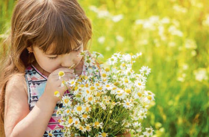 Faire passer la saison pollinique à votre enfant