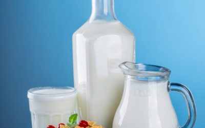 Dairy products: valuable sources of nutrients!